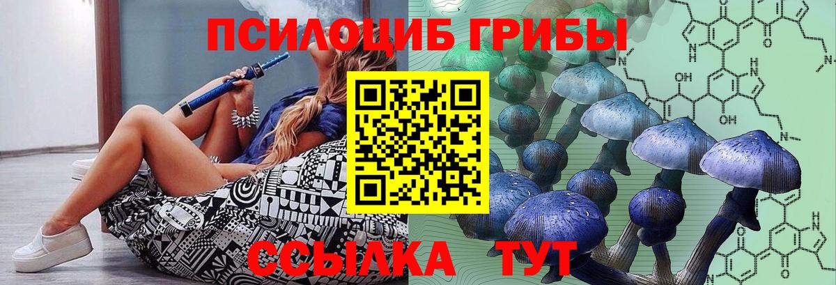 Кандалакша  Псилоцибиновые грибы Psilocybe  Вход с VPN 